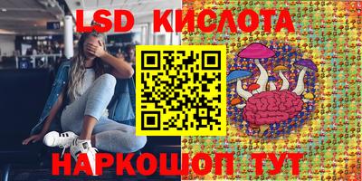 стаф Будённовск