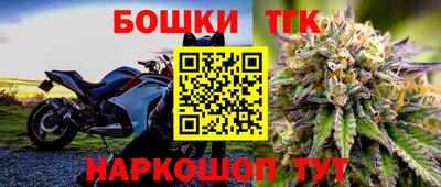 стаф Будённовск