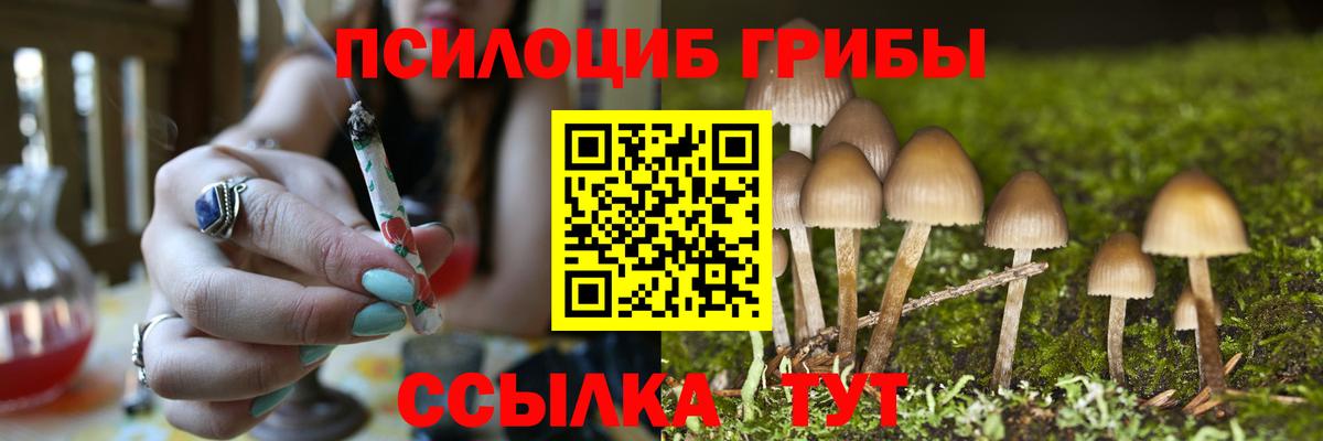 Псилоцибиновые грибы прущие грибы Чернушка